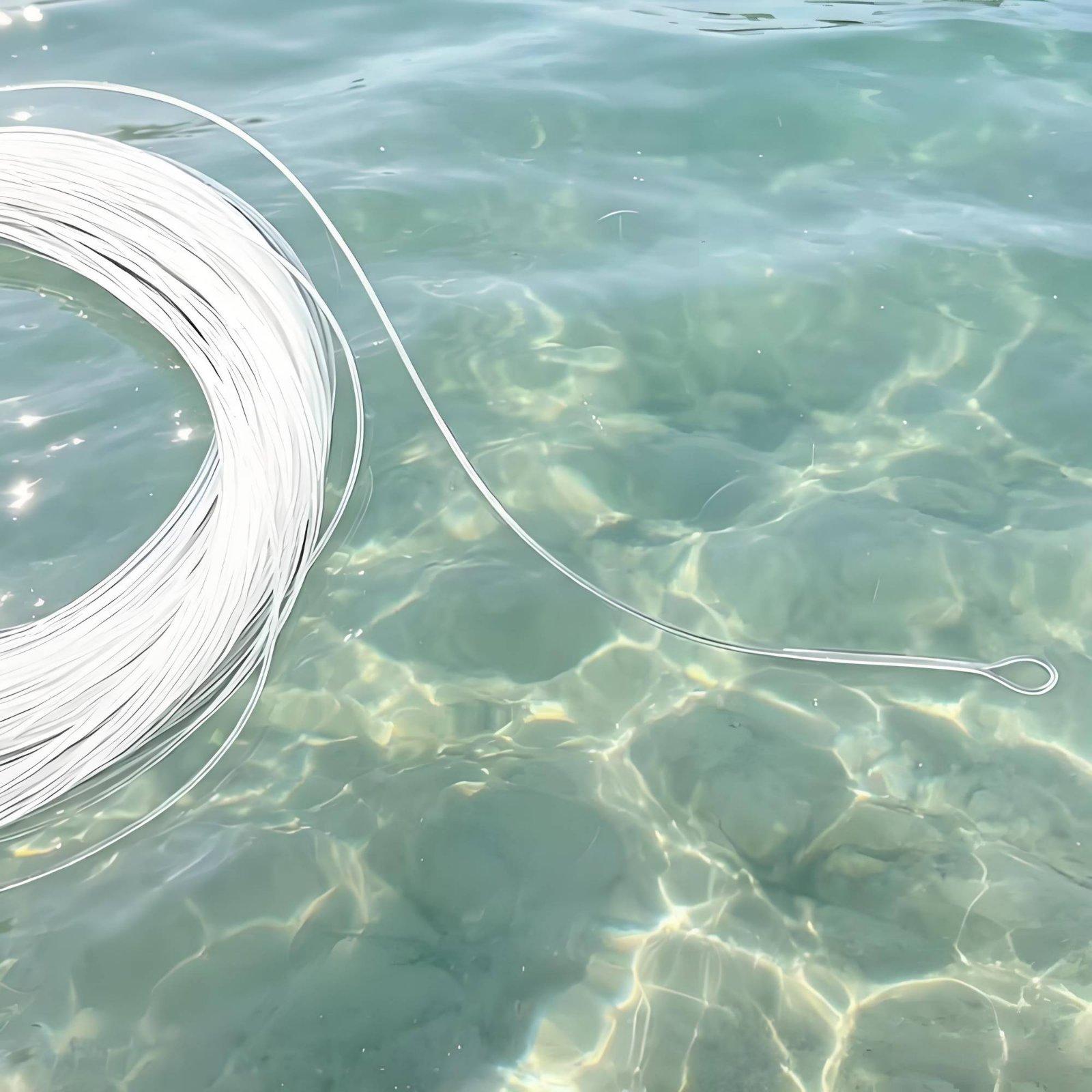 Transparent Fly Fishing Line S - đánh giá và giá Braided Line